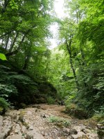 Urjauziaren inguruak