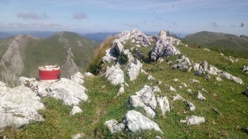 Uzkuiti tontorra eta  postontzia