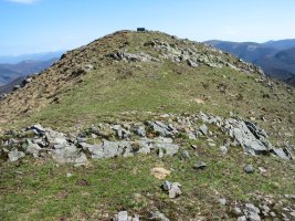 Tontorra Mko bizkarretik