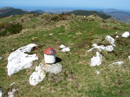 Abadegurutzeko buzoia