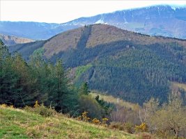 Aizleor / Unamenditik