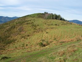 Hegoaldeko gandorretik