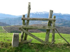 Harpausoa bizkarreko hesian