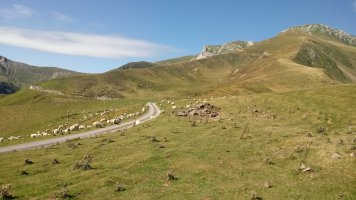 Erroimendi Lepoa, artaldea