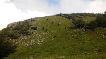 Etxekortea (1204m) mendia