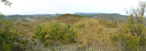 Ipar gailurra hegoaldekotik