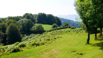Zubiriko txabolaren inguruak