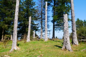 HMko muinoaren gailurra