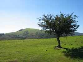 Otzaurte aldeko igoeratik