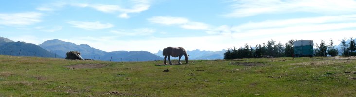 Zaldiak Beullarnetako itxitura batean