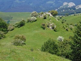 Iramendiko Punta Tontor Nagusitik