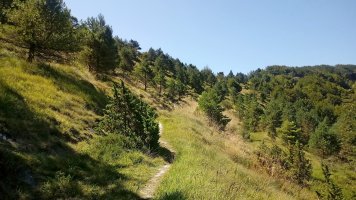 Marabilleta igoeraren azken zatia Gereñutik