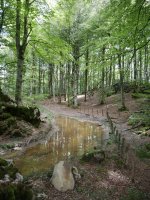 Arrizorrotz eta Alaketa arteko lepoko panoramika