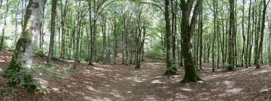 IEko bideko pasarte bat