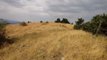 Brakola (1368m) gainaldea