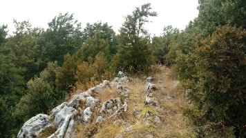 Menditxusia (1338m) tontorra