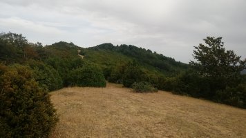 Borrokoxko (1395m) mendebalderako gandorrean