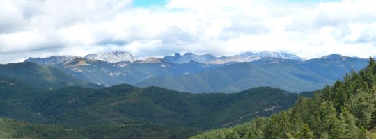 Pirinioak Igariko mendateko bidetik