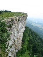 Mendebaldeko gandorra