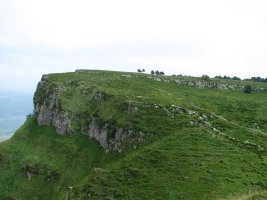 Mendebaldeko gandorra