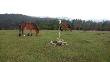 Eluztizain (809m) tontorra