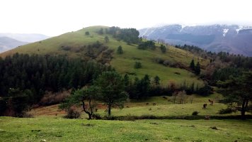 Oamendi (865m) Eluztizain aldetik