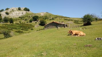 Zastegiko bordak Gatzarrieta azpian