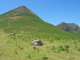 Buztanzelaiko lepotik