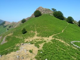 Antziagako lepoa eta Tuturre