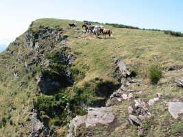 Iparraldeko bizkarra