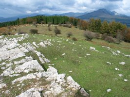 Mendebaldeko larreak tontorretik