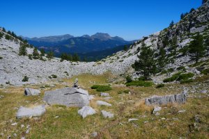 Ezkaurreko kobaren inguruetan