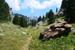 GR bidea Larreria lepoaren inguruan