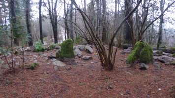 Dólmen Txangosta (01-2019)