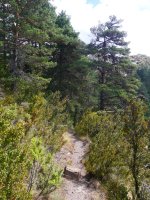 IMko bizkarreko bideko pasarte bat