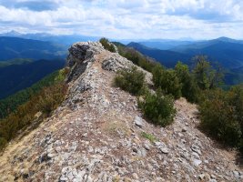 Dozola tontorra mendebaldetik