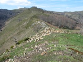 Azpilkueta aldeko bizkar luzea