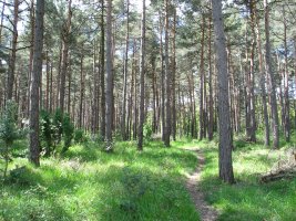 Berrostegieta eta Ezkibel arteko bideko pasartea