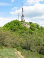 Zaldiaran tontorra, mendebaldeko bizkarretik