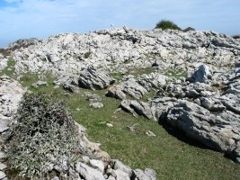 Bernagoitiburu,  tontorra.