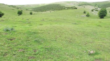 Ingiri 9 etxola hondoa, Andia