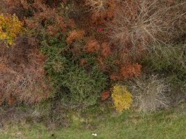 Raso del corral de Marino