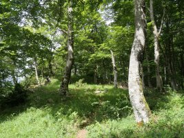 Bidea ekialdeko bizkarrean barrena