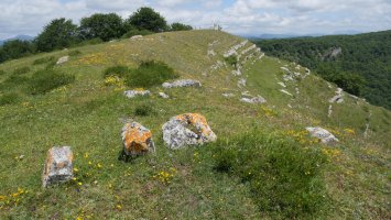 Kapitate tontorra HMtik