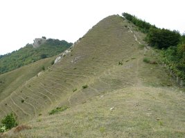 Urrutxaga, atzean Arriaundi duela