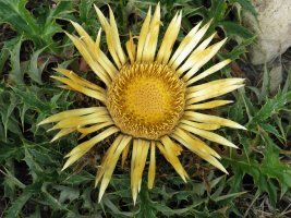 Ekilorea Urrutxaga gainean