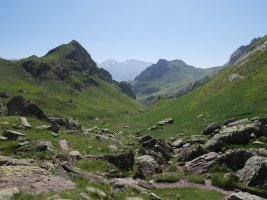 Culivillas sakana goi aldetik