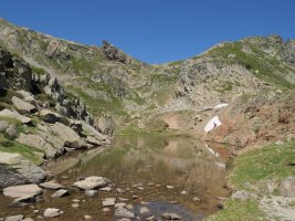 Peyreget lepoko iboi txikia