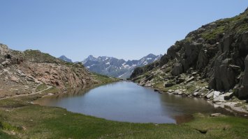 Peyreget lepoko iboi txikia