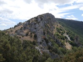 Iparraldeko gandorra, Saldise